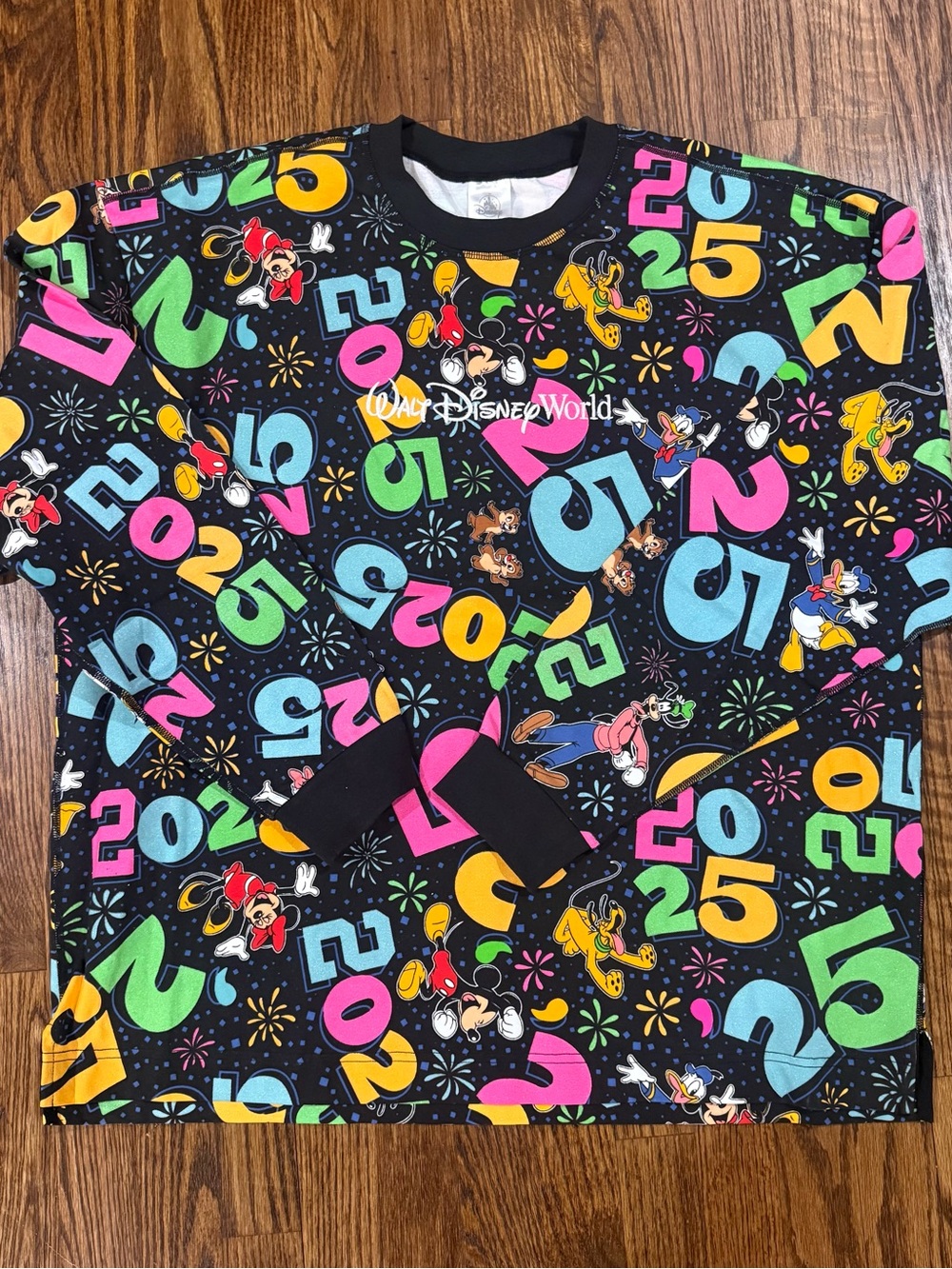 2025 Walt Disney World Pullover